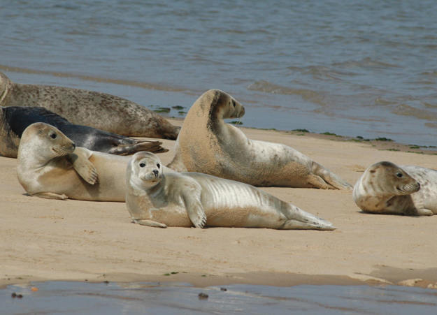 North Norfolk Places To Visit 3